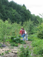 Open gardens 090001.JPG